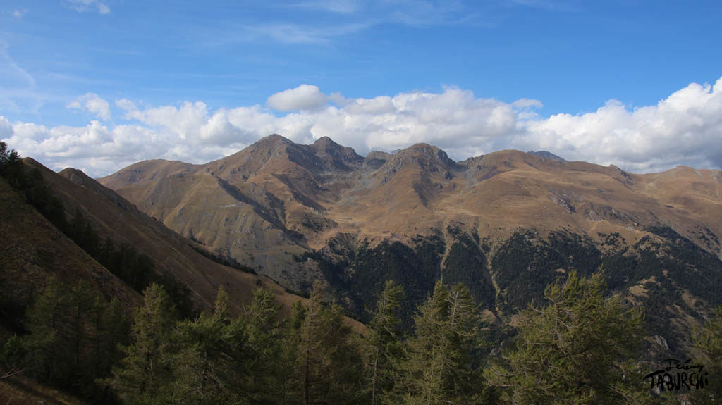 Un panorama du Wonderland