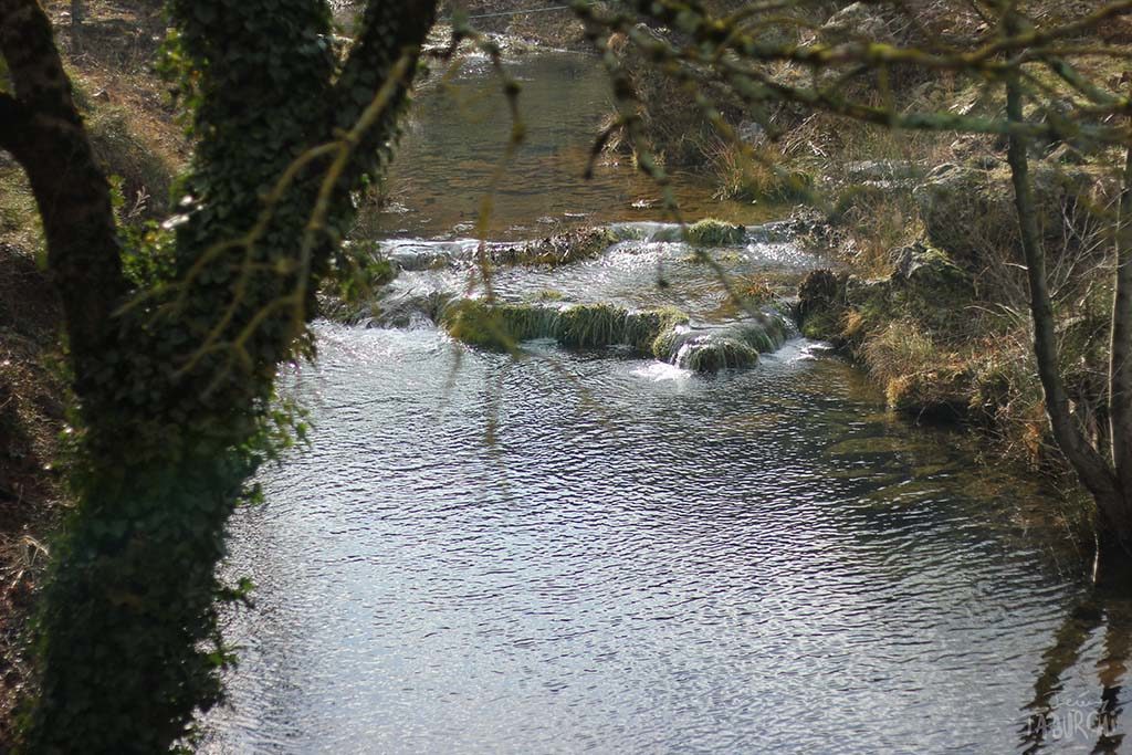 Cours d'eau