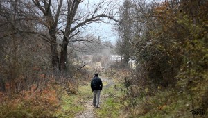 Chemin vers l'étrange