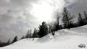 Wonderland sous la neige