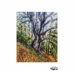 Paysage d'ici #4