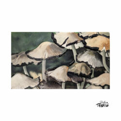Nature Vive #1