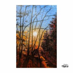 Paysage d'ici #3